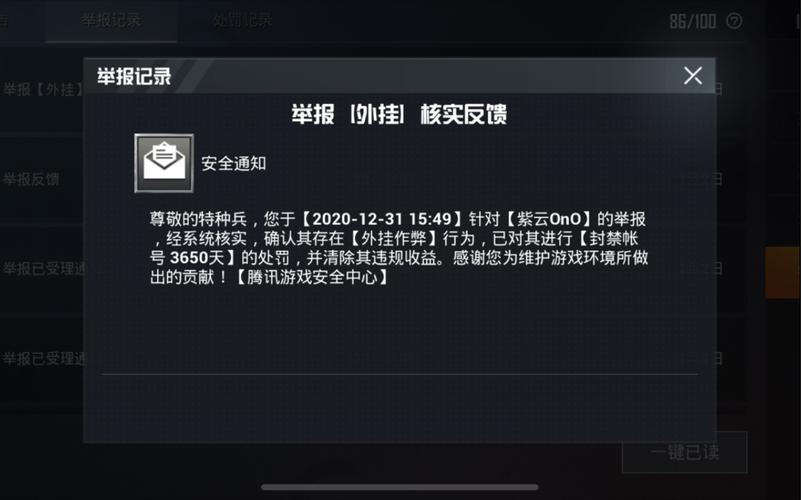 和平精英辅助得类型分为那些